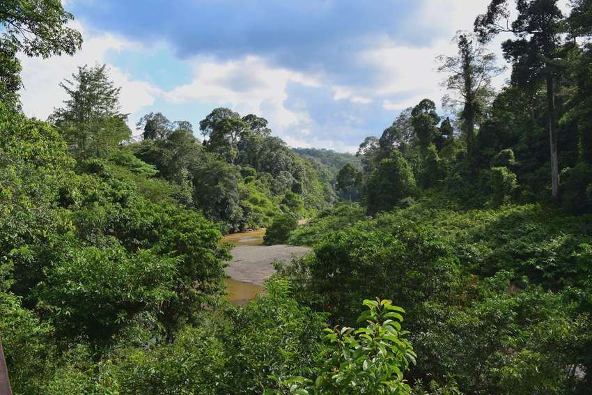 Danum Valley<br>